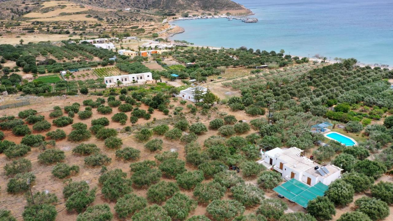 Апартаменти Voula'S Casa Di Mare Палекастрон Екстер'єр фото
